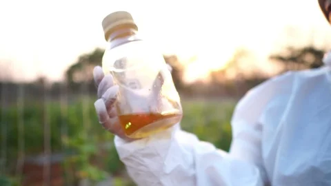 Scientists are checking for contaminants in vegetable conversion Stock Footage 124963500