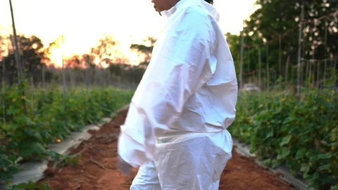 Scientists are checking for contaminants in vegetable conversion 스톡 동영상 124964401