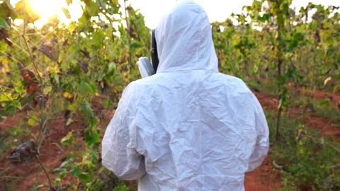 Scientists are checking for contaminants in vegetable conversion Vídeos de archivo 147145293