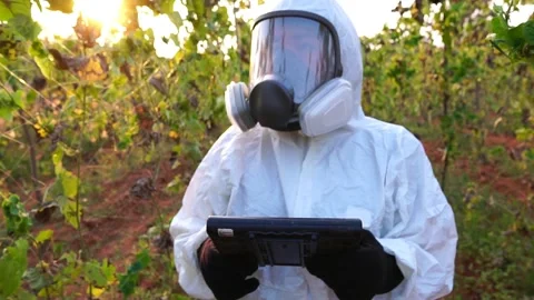 Scientists are checking for contaminants in vegetable conversion Stock Footage 147145358