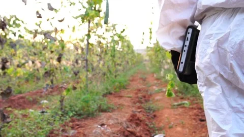 Scientists are checking for contaminants in vegetable conversion Stock-Footage 147145382