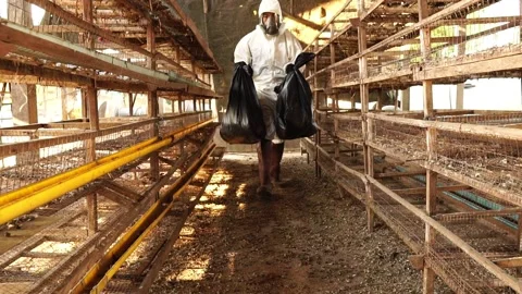Scientists are collecting samples of Covit-19 in bags for further testing Video stock 146720296
