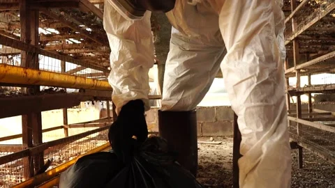 Scientists are collecting samples of Covit-19 in bags for further testing Stock Footage 146720470