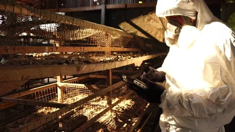 Scientists are collecting samples of Covit-19 in bags for further testing Vídeos de archivo 146736707