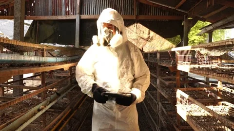 Scientists are collecting samples of Covit-19 in bags for further testing Stock Footage 146736756