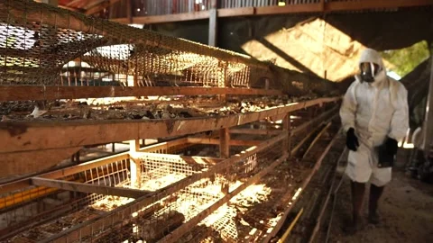 Scientists are collecting samples of Covit-19 in bags for further testing Stock Footage 146736768