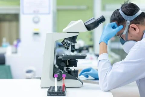 Scientists are studying research on the germs that cause COVID-19, the main c Stock Photos
