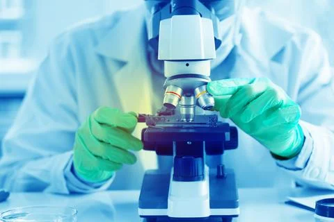 Scientists are using a microscope to test for viruses. or bacteria in the lab Stock Photos