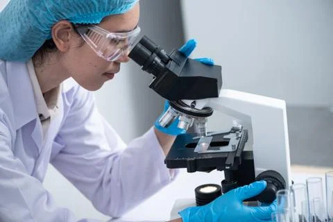 Scientists are using microscopes. For laboratory experiments Stock Photos