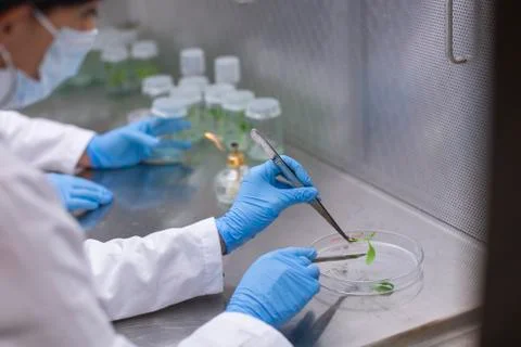 Scientists at Bio-tech Lab Photos