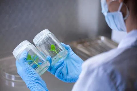 Scientists at Bio-tech Lab Photos