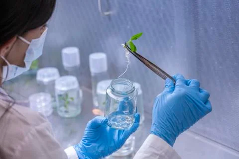 Scientists at Bio-tech Lab Photos