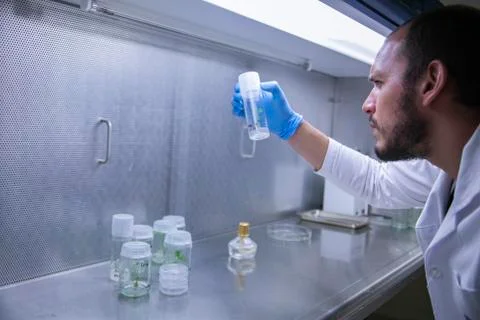 Scientists at Bio-tech Lab Photos