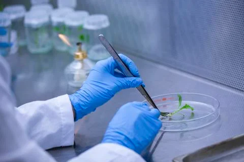 Scientists at Bio-tech Lab Photos