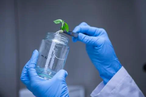 Scientists at Bio-tech Lab Photos