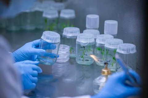 Scientists at Bio-tech Lab Photos