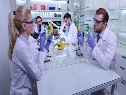 Scientists Colleagues Collaborate Laboratory Inject Chemicals into Banana Fruits Video stock 83459977
