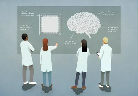 Scientists comparing computer chip and brain diagram Stock Illustration