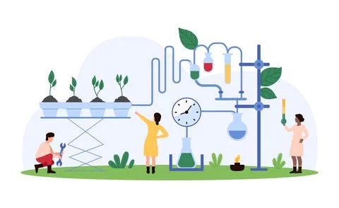 Scientists Conducting Plant Experiments concept Illustration