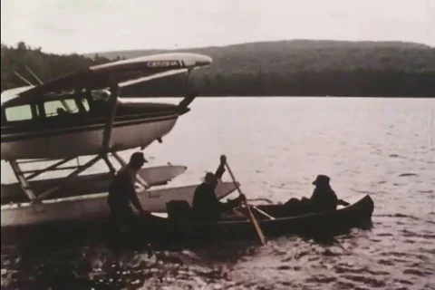 Scientists continue to seek the answers of acid rain in the 1970s Video stock 89921415