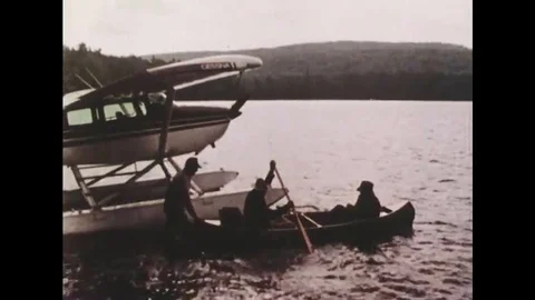 Scientists continue to seek the answers of acid rain in the 1970s Video stock 116042560