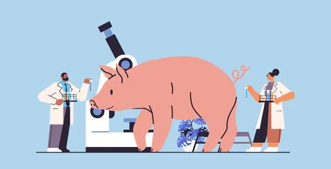 Scientists doing experiments in lab with animals veterinary workers with Stock Illustration