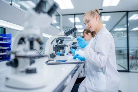 Scientists examine samples in a laboratory setting with microscopes during .. Stock Photos
