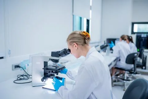 Scientists examine samples under microscope in a laboratory setting during .. Stock Photos