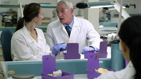 Scientists examining a dental model Stock Footage 77078592