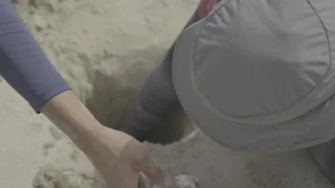 Scientists excavate the empty eggshells of a sea turtle nest Stock Footage 243309917