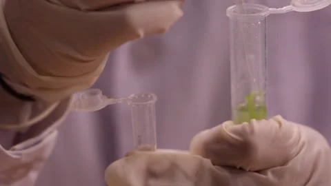 Scientists, experimenters, sampling tubes (2) Stock Footage 202259151
