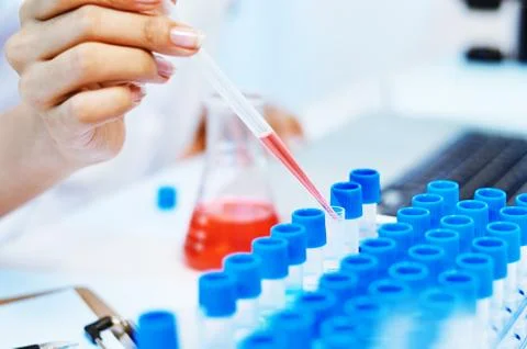 Scientists experimenting in laboratory Stock Photos
