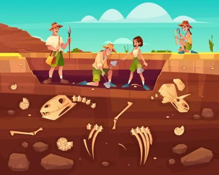 Scientists exploring fossils on excavations イラスト素材