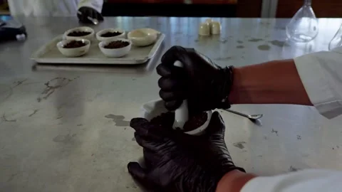 Scientist's Gloved Hands Grinding Soil Sample in Lab with Mortar and Pestle 動画素材 346623194