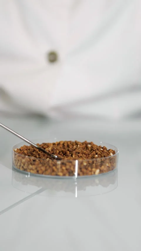 Scientist's hand removing the lid from a petri dish with green beans. Stock Footage 303623086