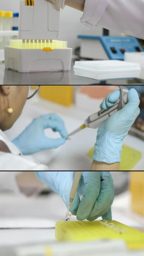 A scientists hands dripping a sample into an eppindorf with pipette. Stock Footage 314339229