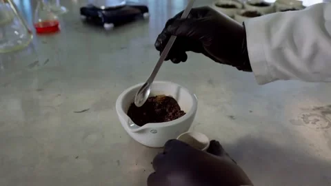 Scientist's Hands Preparing Soil Samples for Agricultural Analysis in Laboratory Stock Footage 346623208