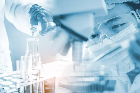 Scientists hold in vitro experiments with scientific instruments and laborato Stock Photos