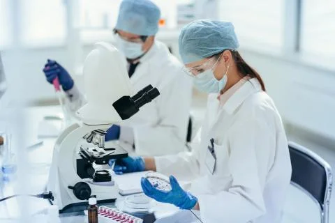 Scientists investigating the development of bacteria in the laboratory . Stock Photos