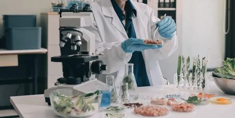Scientists in lab coats work with plants in a modern lab, focusing on resea.. Stock Photos