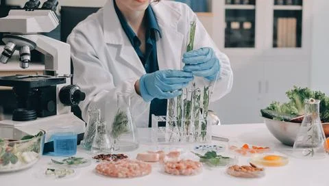 Scientists in lab coats work with plants in a modern lab, focusing on resea.. Stock Photos
