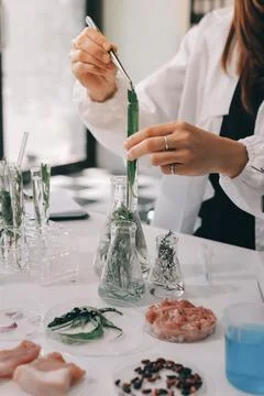 Scientists in lab coats work with plants in a modern lab, focusing on resea.. Stock Photos
