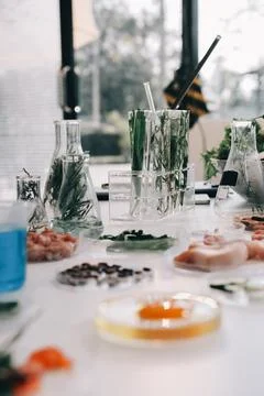 Scientists in lab coats work with plants in a modern lab, focusing on resea.. Stock Photos