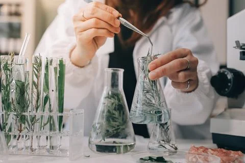 Scientists in lab coats work with plants in a modern lab, focusing on resea.. Stock Photos
