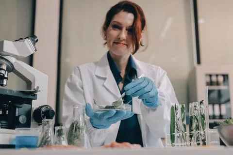 Scientists in lab coats work with plants in a modern lab, focusing on resea.. Stock Photos