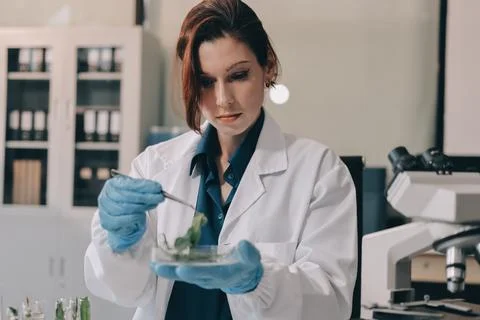 Scientists in lab coats work with plants in a modern lab, focusing on resea.. Stock Photos