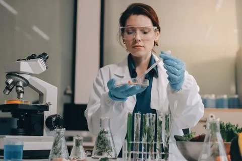 Scientists in lab coats work with plants in a modern lab, focusing on resea.. Stock Photos