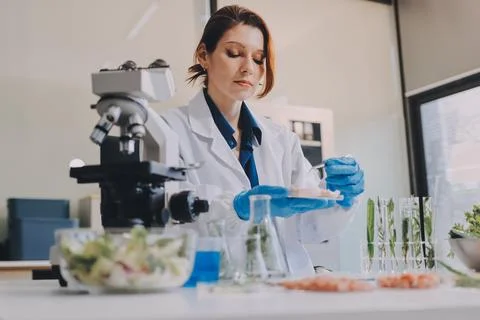 Scientists in lab coats work with plants in a modern lab, focusing on resea.. Stockfoto's