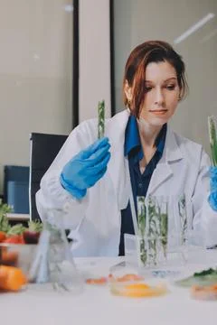 Scientists in lab coats work with plants in a modern lab, focusing on resea.. Stockfoto's