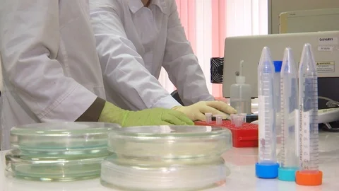 Scientists in the laboratory conduct experiments and studies with test tubes Stock Footage 121191374